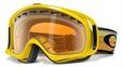 Bright YellowPersimmon (02-630)