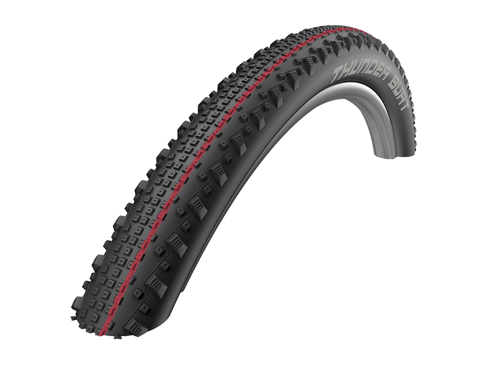 Schwalbe Däck, Thunder Burt EVO ADDIX TL-Easy 29", Black