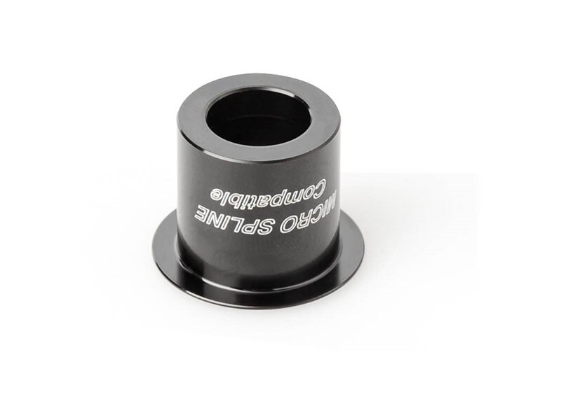 DT Swiss End Cap, ADAPT WP XXXR TA12 B MS, Bak